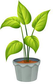 Clip art of plant