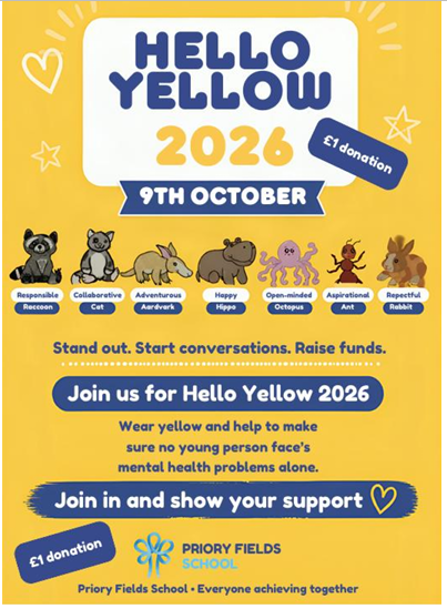 Hello Yellow Flyer