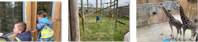 Photos of children's trip to Wingham Wildlife Park