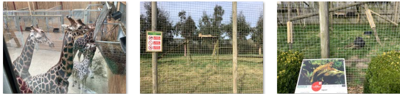 Photos of children's trip to Wingham Wildlife Park
