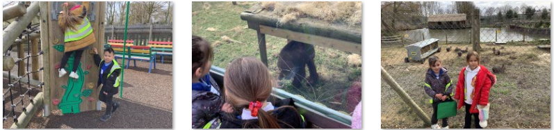 Photos of children's trip to Wingham Wildlife Park