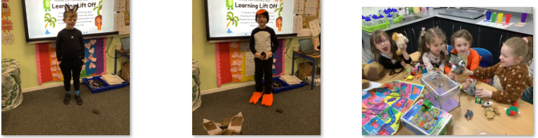 Photos of animals themed Learning Lift Off