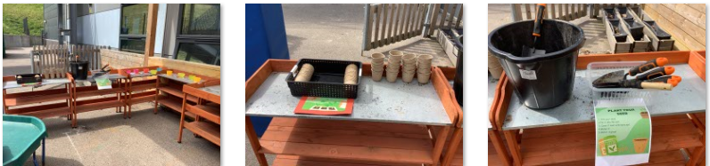 Photos of outdoor planting area