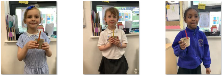 Photos of children holding plant pots