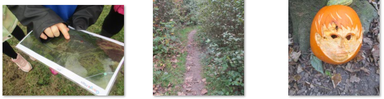 Photos of children exploring the woods