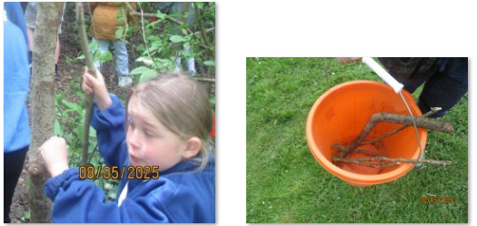 Photos of children making fire in Forest School area