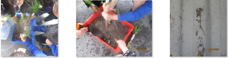 Photos of children cave-painting on a container