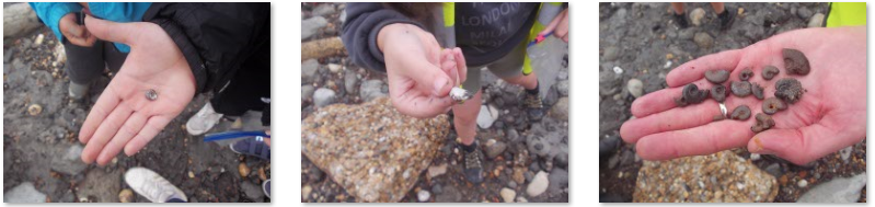 Photos of children fossil hunting at the Warren