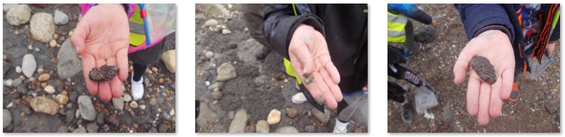 Photos of children fossil hunting at the Warren