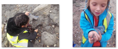 Photos of children fossil hunting at the Warren