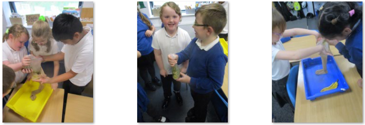 Photos of digestive system experiment