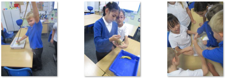 Photos of digestive system experiment