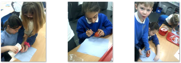 Photo of children mummifying a tomato