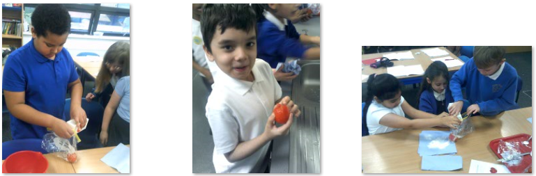 Photo of children mummifying a tomato