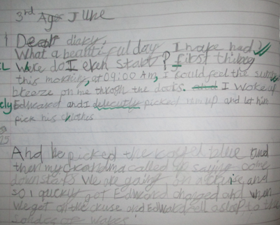 Photos of children's diary entry English work