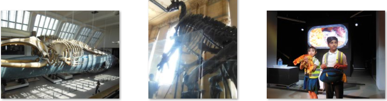 Photos of Natural History Museum trip
