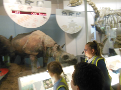 Photos of Natural History Museum trip