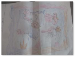 Photos of plastic pollution posters