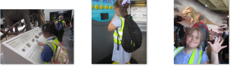 Photos of natural history museum trip