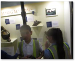 Photo of Natural History Museum trip