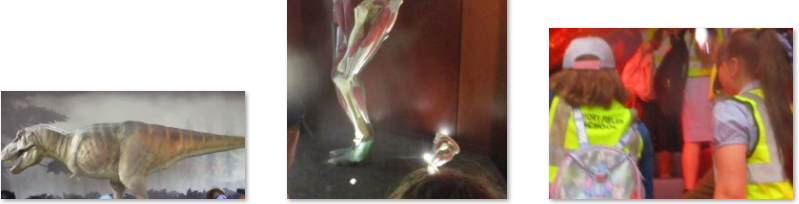 Photos of Natural History Museum trip