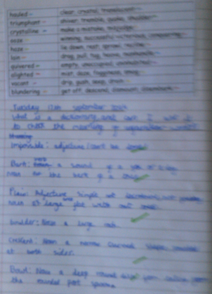Photos of children's English work