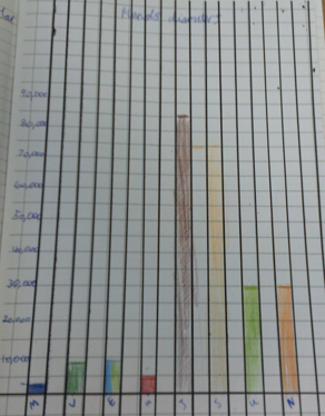Photo of children's topic work