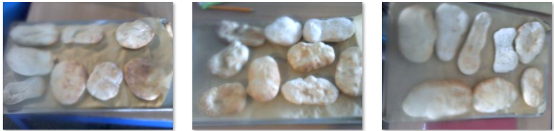 Photos of children making pittas