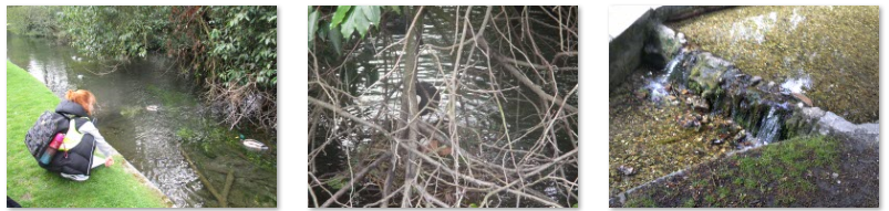 Photos of Kearsney Abbey Rivers Trip