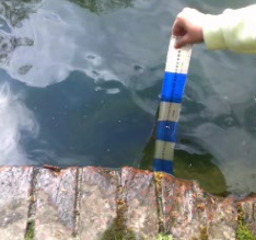 Photo of Kearsney Abbey Rivers Trip