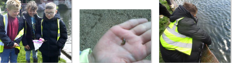 Photos of Kearsney Abbey Rivers Trip