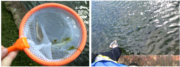 Photos of Kearsney Abbey Rivers Trip