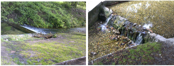 Photos of Kearsney Abbey Rivers Trip