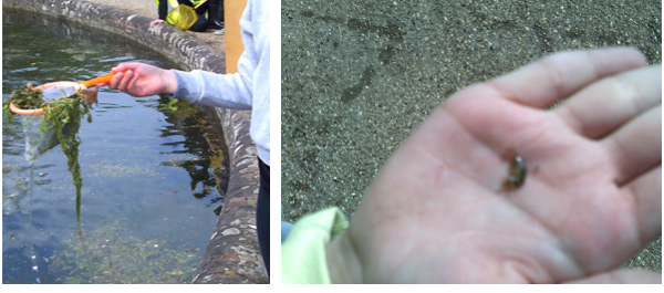 Photos of Kearsney Abbey Rivers Trip