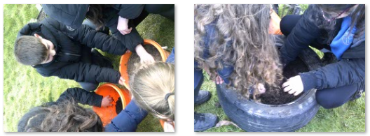 Photos of children planting