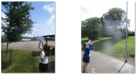 Photos of children using clinometers