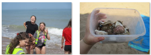 Photos of children at the beach