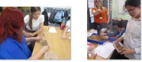 Photo of children learning about coasts