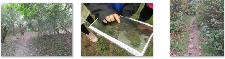 Photos of children' exploring the woods