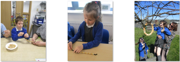 Photos of children making and installing bird feeders