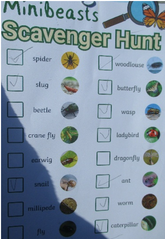 Photos of minibeast hunt checklist