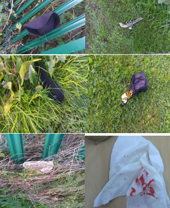 Photos of crime scene evidence for Learning Lift Off