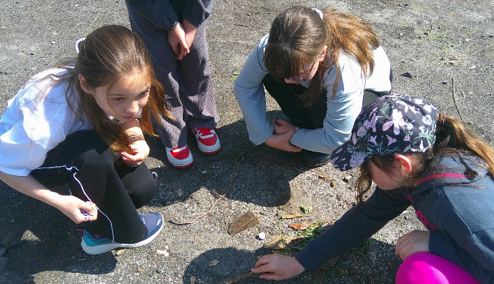 Photo of children at Forest School