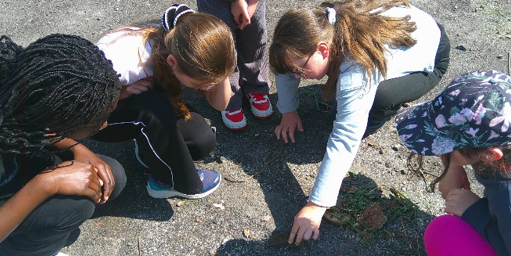 Photo of children at Forest School