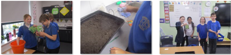 Photos of children planting seeds
