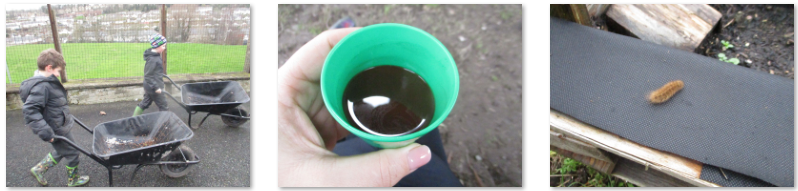 Photos of children at forest school