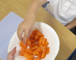 Photos of landing lift off