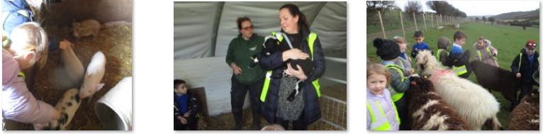Photos of Frampton Farm trip