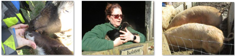 Photos of Frampton Farm trip