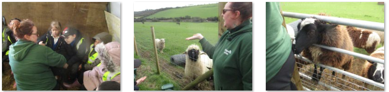 Photos of Frampton Farm trip
